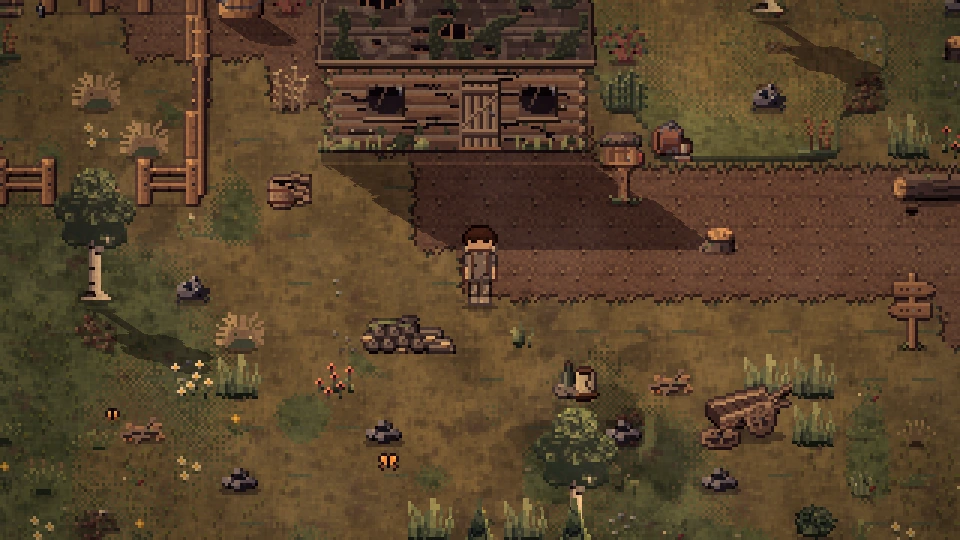 The derelict cabin and its overgrown yard on a summer evening